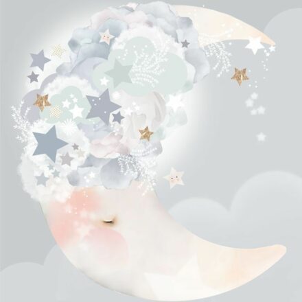 Schmooks Poster Moon Dreams