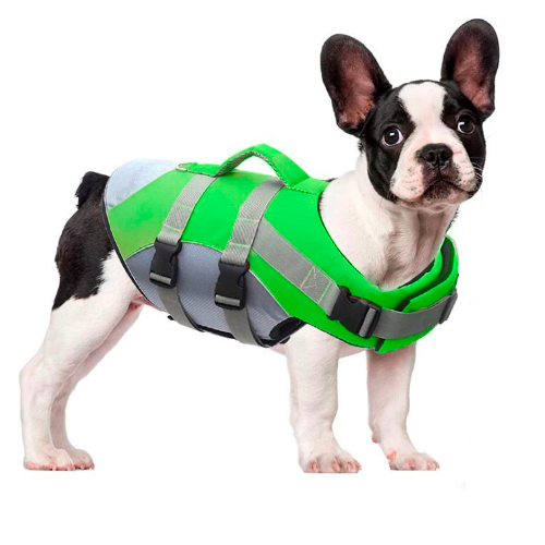 sikkerhet hund